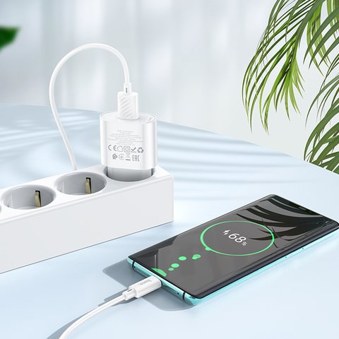 Сетевое зарядное устройство Hoco C109A, 18 Вт, Quick Charge, белый, с USB кабелем тип-C, 1 порт, #6931474784834 Превью 2