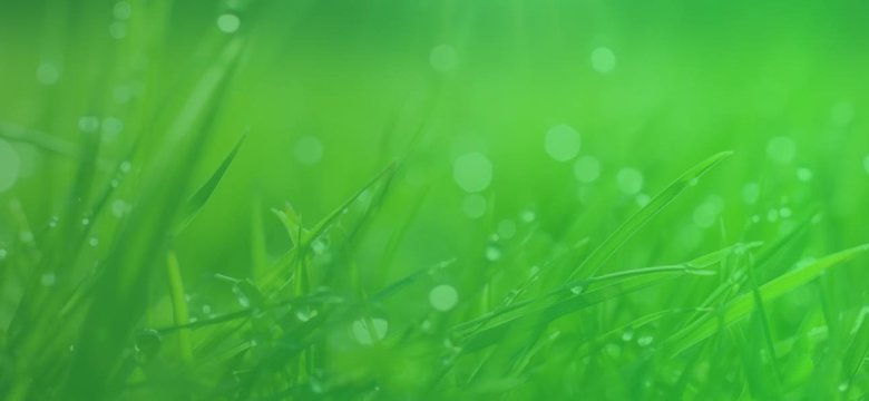 Великий весняний розпродаж до 31 травня